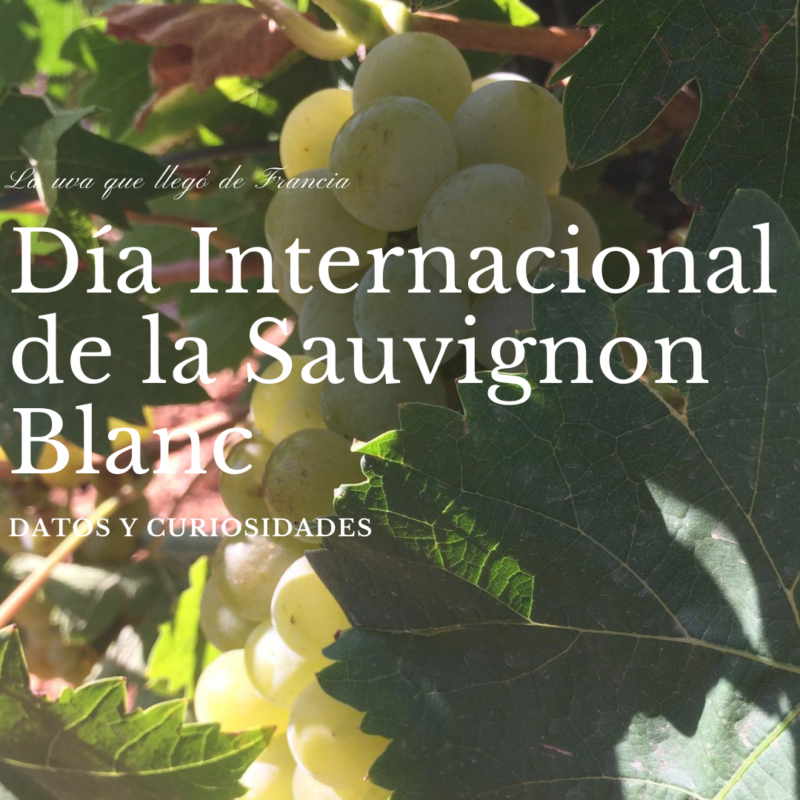 Día Internacional de la Sauvignon Blanc