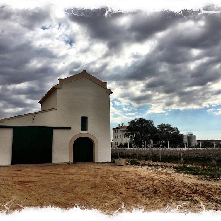 Palomar-Bodegas-Illana