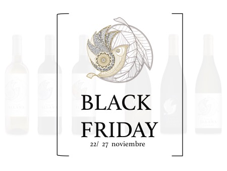 promocion-blackfriday-illana