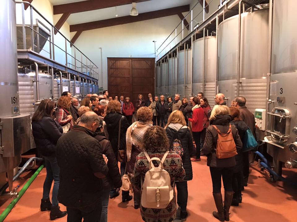 visitas-bodegas-illana2