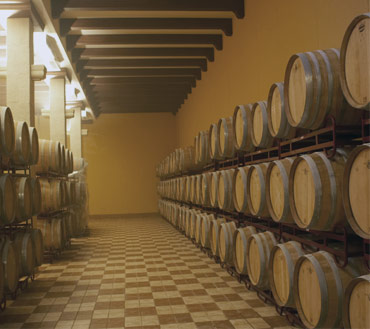 bodega-illana