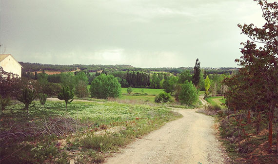 enoturismo-ribera-jucar